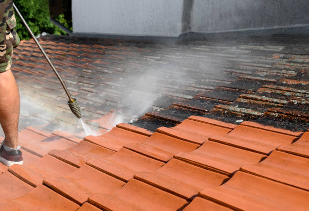 Best House Pressure Washing  in Rosenberg, TX