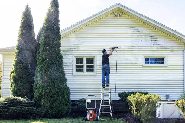 Best Fence Pressure Washing  in Rosenberg, TX