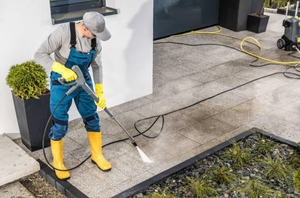 Best Best Pressure Washing Companies  in Rosenberg, TX