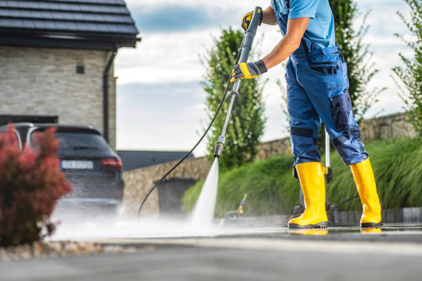 Best Affordable Pressure Washing  in Rosenberg, TX